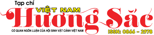 Sân khấu và Đời sống